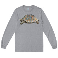 Heather Grey Tortoise Illustrations Long Sleeve Tee - LillyAllenDesigns