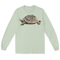 Matcha Tortoise Illustrations Long Sleeve Tee - LillyAllenDesigns