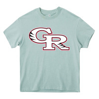 Arona glen ridge high school Heavy Core Tee - linhVisuals
