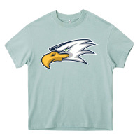 Arona eagle high school Heavy Core Tee - linhVisuals