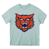 Arona evanston township high school Heavy Core Tee - linhVisuals