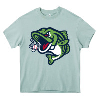 Arona gwinnett stripers Heavy Core Tee - linhVisuals