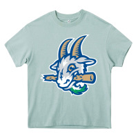 Arona hartford-yard-goats Heavy Core Tee - linhVisuals