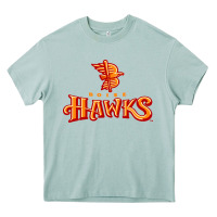 Arona the-boise-hawks-fan Heavy Core Tee - linhVisuals