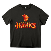 Asphalt the-boise-hawks-fan Heavy Core Tee - linhVisuals