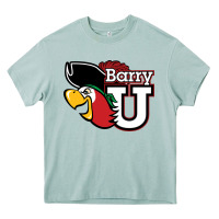 Barry Heavy Core Tee | Teevron