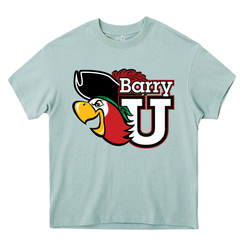 Barry Heavy Core Tee by linhVisuals | Teevron