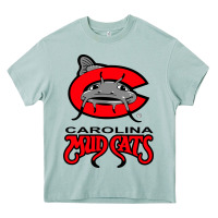 Arona the-carolina-mudcats-merch Heavy Core Tee - linhVisuals