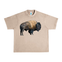 French Oak Bison Buffalo Urban Heavy Tee - LillyAllenDesigns