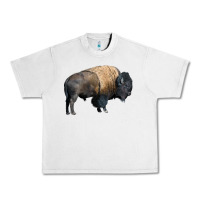 Lunar Rock Bison Buffalo Urban Heavy Tee - LillyAllenDesigns