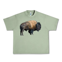 Oil Green Bison Buffalo Urban Heavy Tee - LillyAllenDesigns