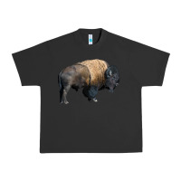 Pigment Black Bison Buffalo Urban Heavy Tee - LillyAllenDesigns