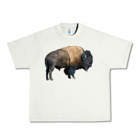 Pistachio Bison Buffalo Urban Heavy Tee - LillyAllenDesigns