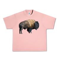 Salmon Bison Buffalo Urban Heavy Tee - LillyAllenDesigns