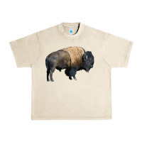 Sandshell Bison Buffalo Urban Heavy Tee - LillyAllenDesigns
