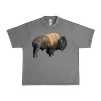 Tornado Bison Buffalo Urban Heavy Tee - LillyAllenDesigns