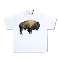 White Bison Buffalo Urban Heavy Tee - LillyAllenDesigns