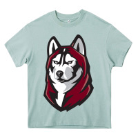 Arona bloomsburg huskies Heavy Core Tee - linhVisuals