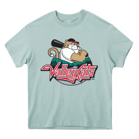 Arona this-tri-city-valleycats-merch Heavy Core Tee - linhVisuals