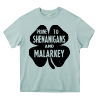 Prone To Shenanigans And Malarkey Heavy Core Tee | Teevron