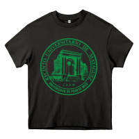 Asphalt University of Puerto Rico Mayagüez Heavy Core Tee - linhVisuals