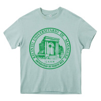 Arona University of Puerto Rico Mayagüez Heavy Core Tee - linhVisuals