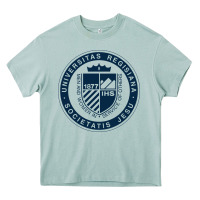 Arona Regis University Heavy Core Tee - linhVisuals