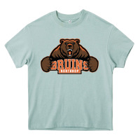 Northrop High School Heavy Core Tee | Teevron