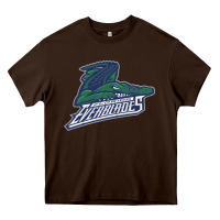 The-florida-everblades-merch Heavy Core Tee | Teevron