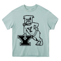 Arona yale vintage Heavy Core Tee - linhVisuals