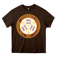 Chocolate Brown the-bethune–cookman-university-merch Heavy Core Tee - linhVisuals