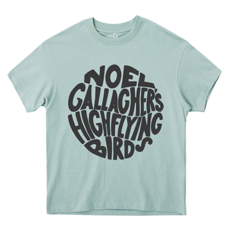 Noel Gallagher's High Flying Birds Classic Heavy Core Tee by linhVisuals | Teevron