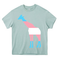 Arona transgender flag ftm mtf trans pride Heavy Core Tee - linhVisuals