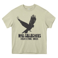 Mossy noel gallagher's high flying birds classic Heavy Core Tee - linhVisuals