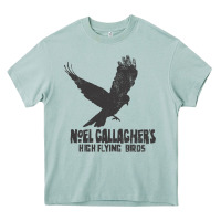Arona noel gallagher's high flying birds classic Heavy Core Tee - linhVisuals