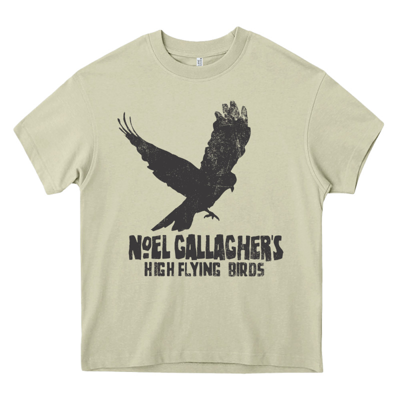 Noel Gallagher's High Flying Birds Classic Heavy Core Tee by linhVisuals | Teevron