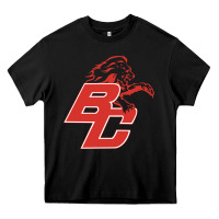 Boyd County High School Baseball Heavy Core Tee | Teevron