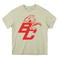 Mossy boyd county high school baseball Heavy Core Tee - linhVisuals