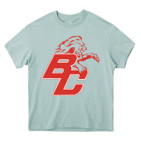 Arona boyd county high school baseball Heavy Core Tee - linhVisuals