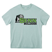 Arona senn high school Heavy Core Tee - linhVisuals