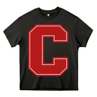 Asphalt cornell big red Heavy Core Tee - linhVisuals
