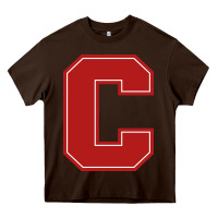 Chocolate Brown cornell big red Heavy Core Tee - linhVisuals