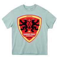 Arona urban prep charter academy for young men Heavy Core Tee - linhVisuals