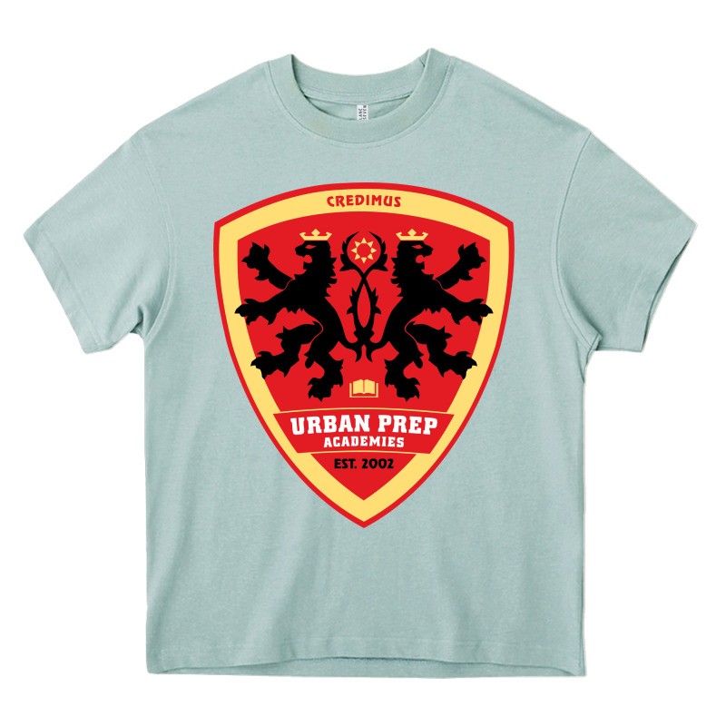 Urban Prep Charter Academy For Young Men Heavy Core Tee by linhVisuals | Teevron
