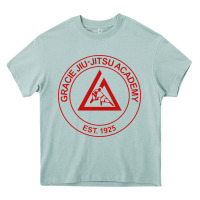 Arona gracie jiu jitsu academy Heavy Core Tee - linhVisuals