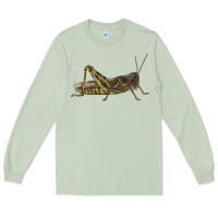 Matcha Grasshopper Long Sleeve Tee - LillyAllenDesigns