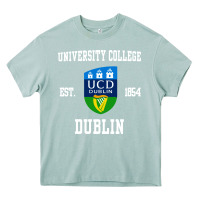 Arona university college dublin Heavy Core Tee - linhVisuals