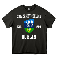Asphalt university college dublin Heavy Core Tee - linhVisuals