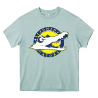 Arona allegheny merch Heavy Core Tee - linhVisuals