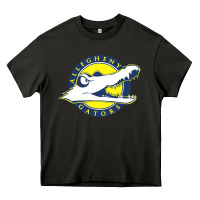Asphalt allegheny merch Heavy Core Tee - linhVisuals